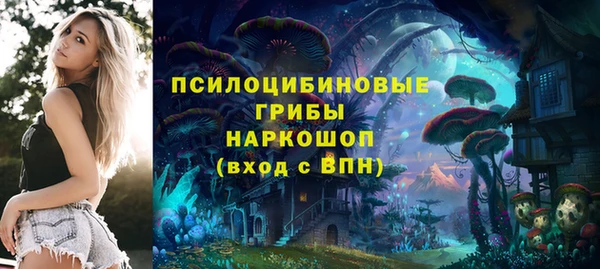 прущая мука Богданович