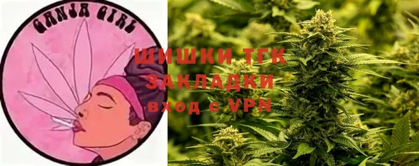 apvp Богородицк
