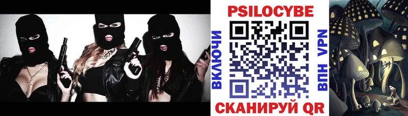 Псилоцибиновые грибы Psilocybine cubensis  Верхняя Тура 